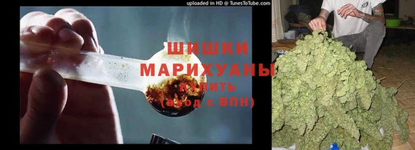 дурь Заводоуковск