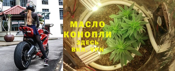 дурь Заводоуковск