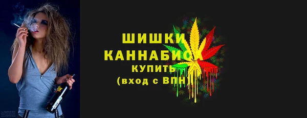 дурь Заводоуковск