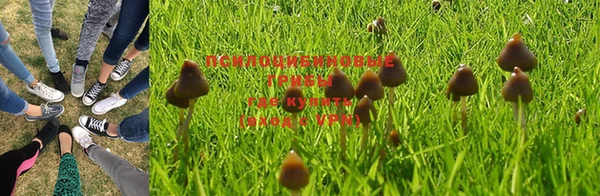 наркотики Заволжск