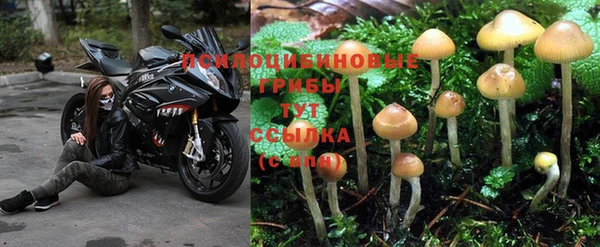 дурь Заводоуковск