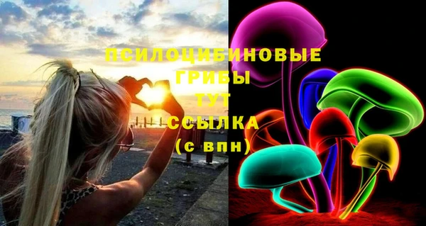 дурь Заводоуковск