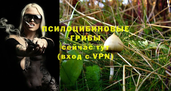 дурь Заводоуковск