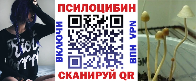 купить наркоту  Черкесск  Псилоцибиновые грибы Cubensis 